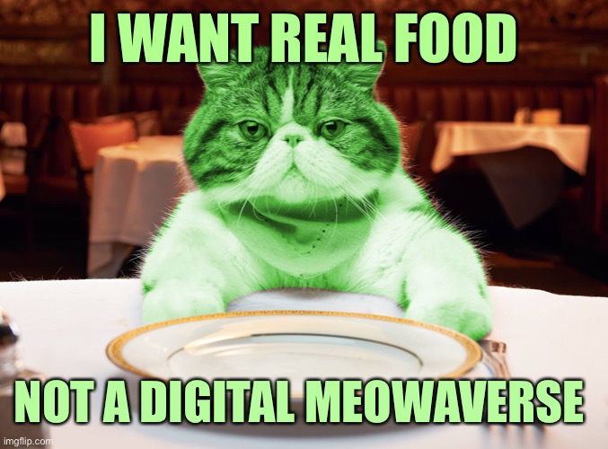You can’t eat a NFT | I WANT REAL FOOD; NOT A DIGITAL MEOWAVERSE | image tagged in raycat hungry,memes,raycat | made w/ Imgflip meme maker