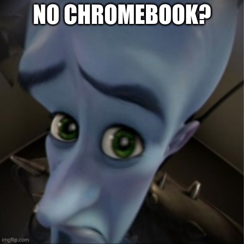 Megamind peeking | NO CHROMEBOOK? | image tagged in megamind peeking | made w/ Imgflip meme maker