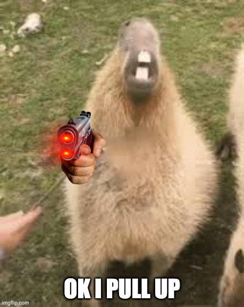 repost | OK I PULL UP | image tagged in capybara | made w/ Imgflip meme maker