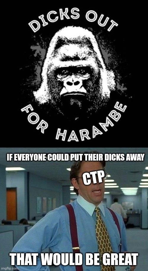 NO ONE: HARAMBE MEMES   CTP: "PUT THOSE AWAY" | IF EVERYONE COULD PUT THEIR DICKS AWAY; CTP; THAT WOULD BE GREAT | image tagged in memes,that would be great,ctp,banned in boston,dicksoutforharambe | made w/ Imgflip meme maker