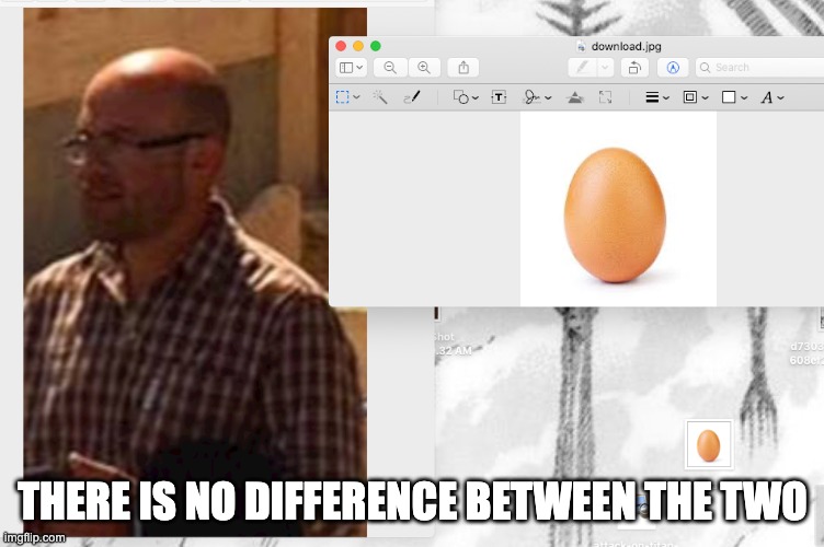 eggsssss | THERE IS NO DIFFERENCE BETWEEN THE TWO | image tagged in eggs,can i offer you an egg in these trying times | made w/ Imgflip meme maker