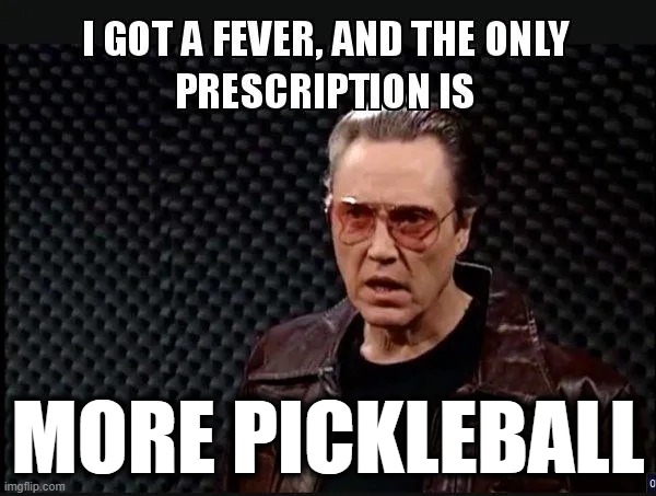 I Got a Fever | MORE PICKLEBALL | image tagged in needs more cowbell,pickleball | made w/ Imgflip meme maker