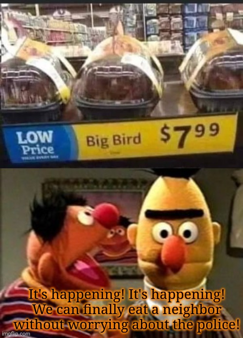 Sesame street lost episodes | It's happening! It's happening! We can finally eat a neighbor without worrying about the police! | image tagged in ernie and bert,nom nom nom,eat big bird,hes basicly a chicken,sesame street | made w/ Imgflip meme maker
