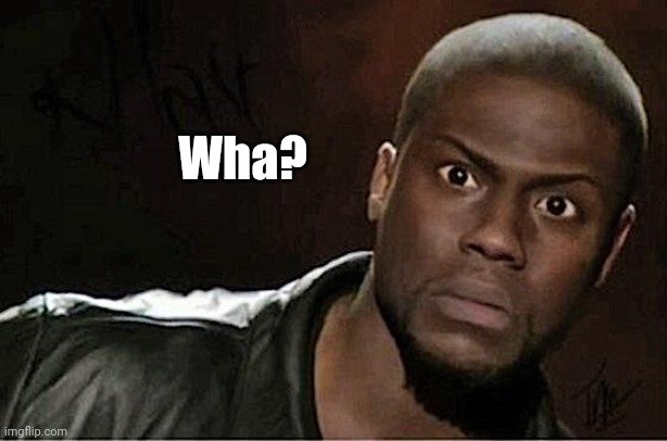 Kevin Hart Meme | Wha? | image tagged in memes,kevin hart | made w/ Imgflip meme maker