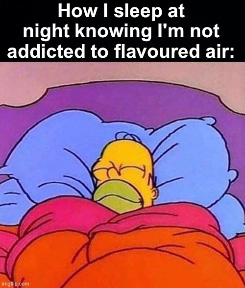 It's great. If anyone reading this vapes, future you will thank you if you quit now. | How I sleep at night knowing I'm not addicted to flavoured air: | image tagged in homer simpson sleeping peacefully,memes,unfunny,imagine vaping lmao | made w/ Imgflip meme maker