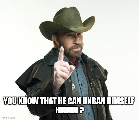 Chuck Norris Finger Meme | YOU KNOW THAT HE CAN UNBAN HIMSELF 
HMMM ? | image tagged in memes,chuck norris finger,chuck norris | made w/ Imgflip meme maker