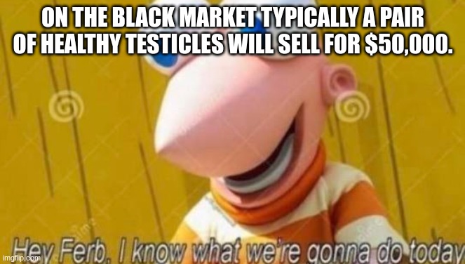Hey Ferb | ON THE BLACK MARKET TYPICALLY A PAIR OF HEALTHY TESTICLES WILL SELL FOR $50,000. | image tagged in hey ferb | made w/ Imgflip meme maker