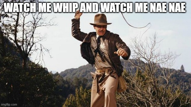 If you get it you get it | WATCH ME WHIP AND WATCH ME NAE NAE | image tagged in indiana jones whip | made w/ Imgflip meme maker