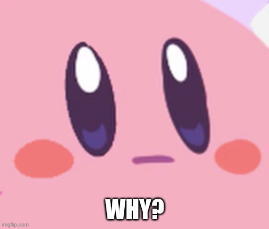 Blank Kirby Face | WHY? | image tagged in blank kirby face | made w/ Imgflip meme maker