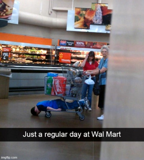 image tagged in walmart,kids,shopping cart | made w/ Imgflip meme maker