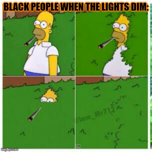 black people in the dark: | BLACK PEOPLE WHEN THE LIGHTS DIM: | image tagged in homer hides,black,meme,fun | made w/ Imgflip meme maker