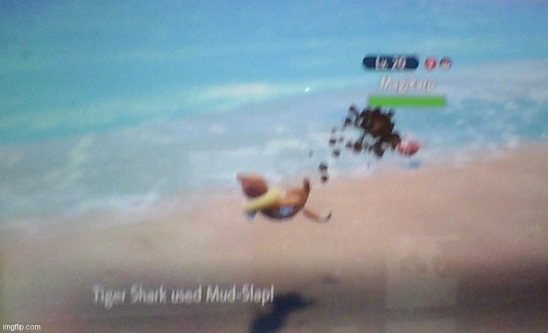 BUIZEL SHIT ATTACK GO | made w/ Imgflip meme maker