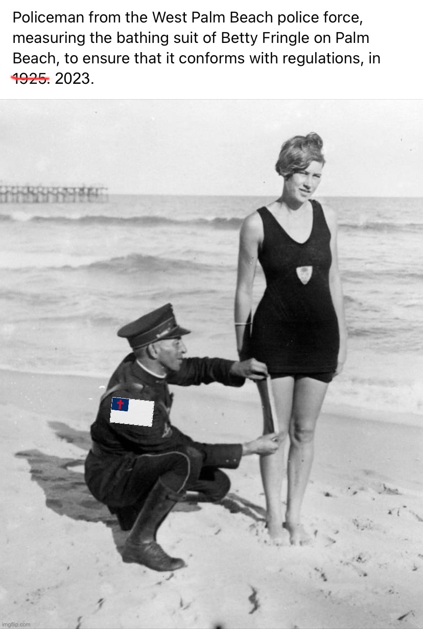 Reject the swimsuit police, return to simply using the NSFW filter if you are that offended by the human body. | 2023. | image tagged in swimsuit conformity,conservative party,free speech,cry about it,is this erotic content,really | made w/ Imgflip meme maker