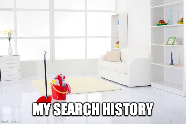 Clean house | MY SEARCH HISTORY | image tagged in clean house | made w/ Imgflip meme maker