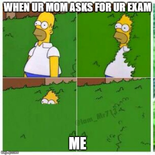 xame | WHEN UR MOM ASKS FOR UR EXAM; ME | image tagged in homer hides | made w/ Imgflip meme maker
