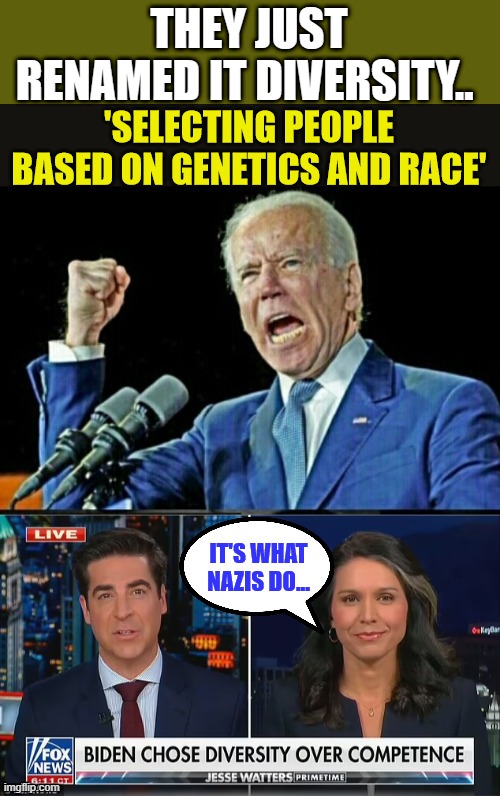 Geeez | THEY JUST RENAMED IT DIVERSITY.. | image tagged in nwo,democrats | made w/ Imgflip meme maker