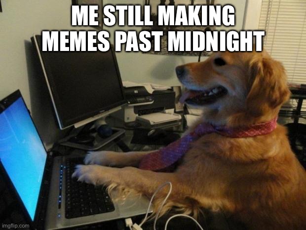 help me |  ME STILL MAKING MEMES PAST MIDNIGHT | image tagged in dog behind a computer,funny,funny memes,fun | made w/ Imgflip meme maker