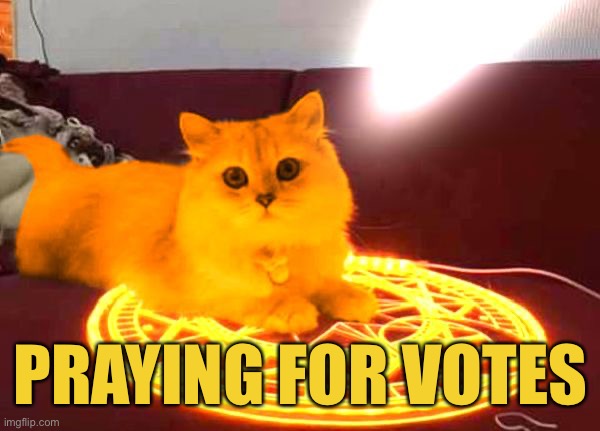 RayCat Powers | PRAYING FOR VOTES | image tagged in raycat powers | made w/ Imgflip meme maker