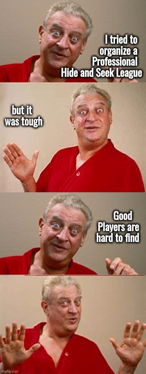 Generic Title | but it was tough; I tried to        organize a     Professional    Hide and Seek League; Good     Players are   hard to find | image tagged in bad pun rodney dangerfield,bad joke,wow look nothing,i find your lack of faith disturbing | made w/ Imgflip meme maker
