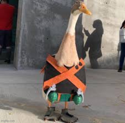 Guess what this duck is cosplaying. | image tagged in cosplay,ducks,duck,quack,memes,funny | made w/ Imgflip meme maker