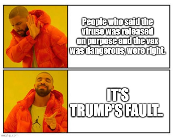 SO sad DEMrats can't except all their lies are crumbling. | People who said the viruse was released on purpose and the vax was dangerous, were right. IT'S TRUMP'S FAULT.. | image tagged in democrats,nwo | made w/ Imgflip meme maker