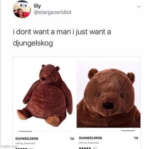 DJUNGELSKOG | image tagged in wholesome,wholesome content,repost,memes,funny,animals | made w/ Imgflip meme maker