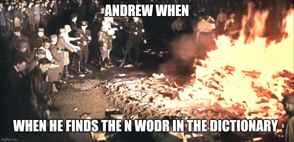 Book burning | ANDREW WHEN; WHEN HE FINDS THE N WODR IN THE DICTIONARY | image tagged in book burning | made w/ Imgflip meme maker