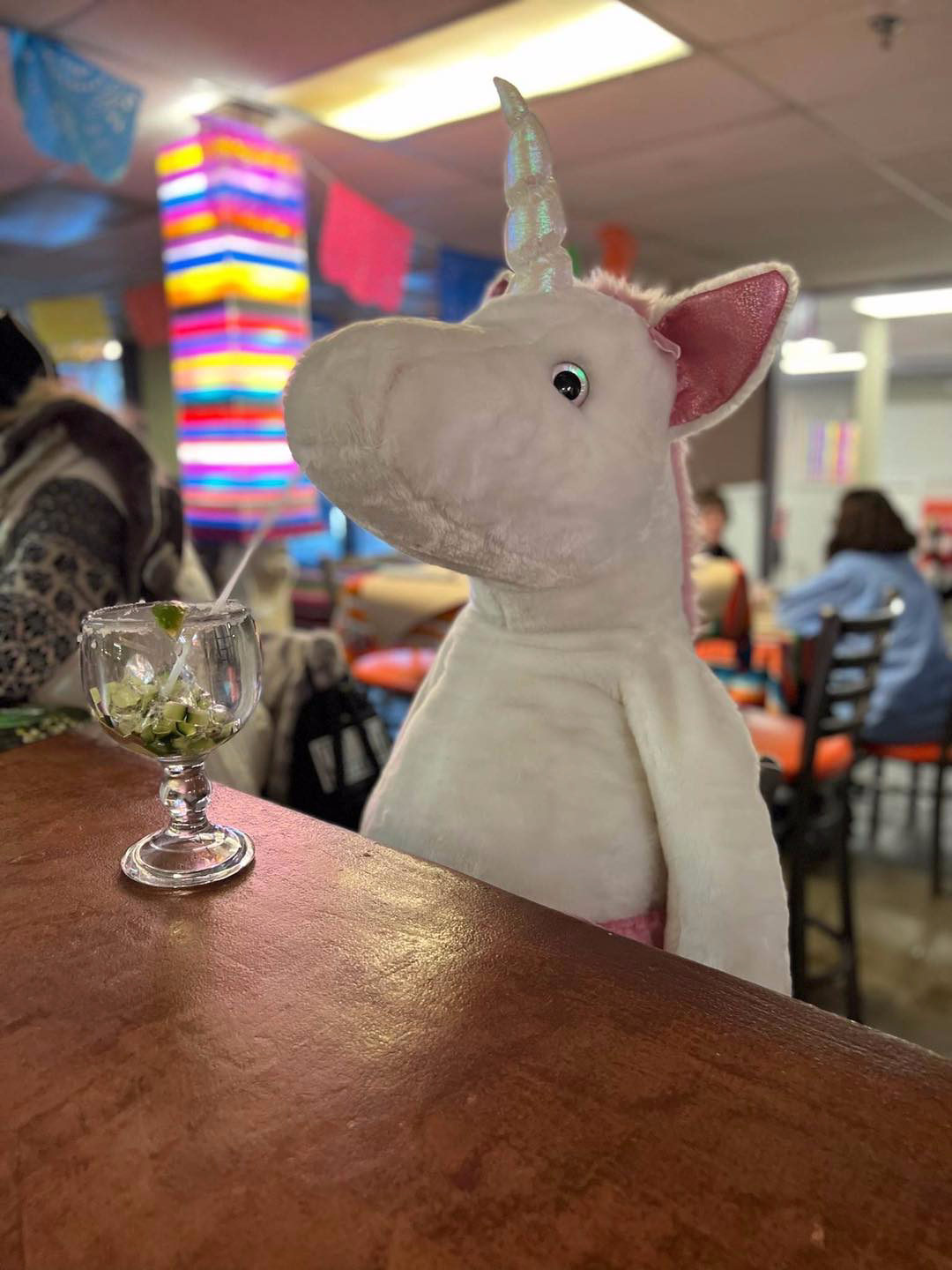 Unicorn at the bar Blank Meme Template