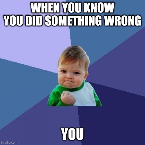 Success Kid | WHEN YOU KNOW YOU DID SOMETHING WRONG; YOU | image tagged in memes,success kid | made w/ Imgflip meme maker
