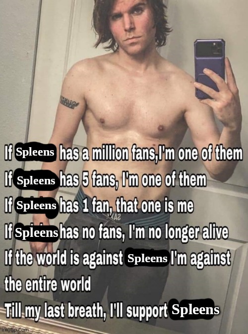 facts | Spleens; Spleens; Spleens; Spleens; Spleens; Spleens | image tagged in if x has one million fans | made w/ Imgflip meme maker