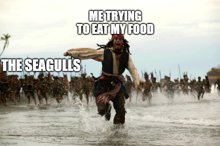 captain jack sparrow running | ME TRYING TO EAT MY FOOD; THE SEAGULLS | image tagged in captain jack sparrow running,memes,funny,seagull,food | made w/ Imgflip meme maker