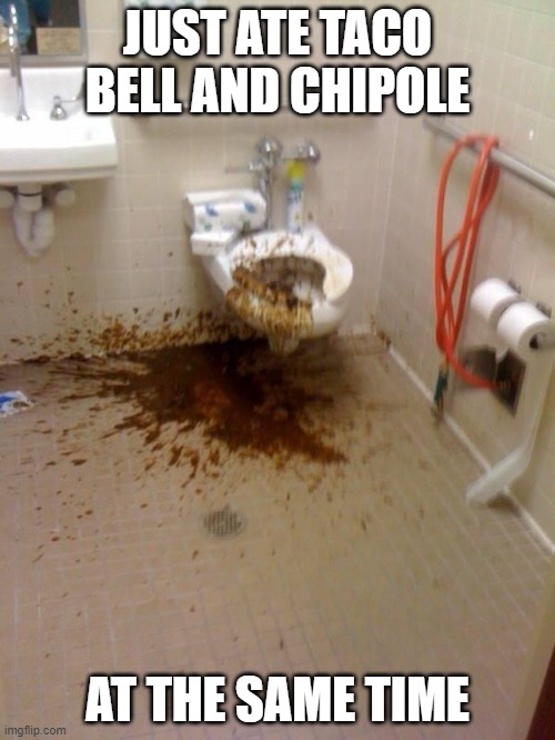 Girls poop too | JUST ATE TACO BELL AND CHIPOLE; AT THE SAME TIME | image tagged in girls poop too | made w/ Imgflip meme maker