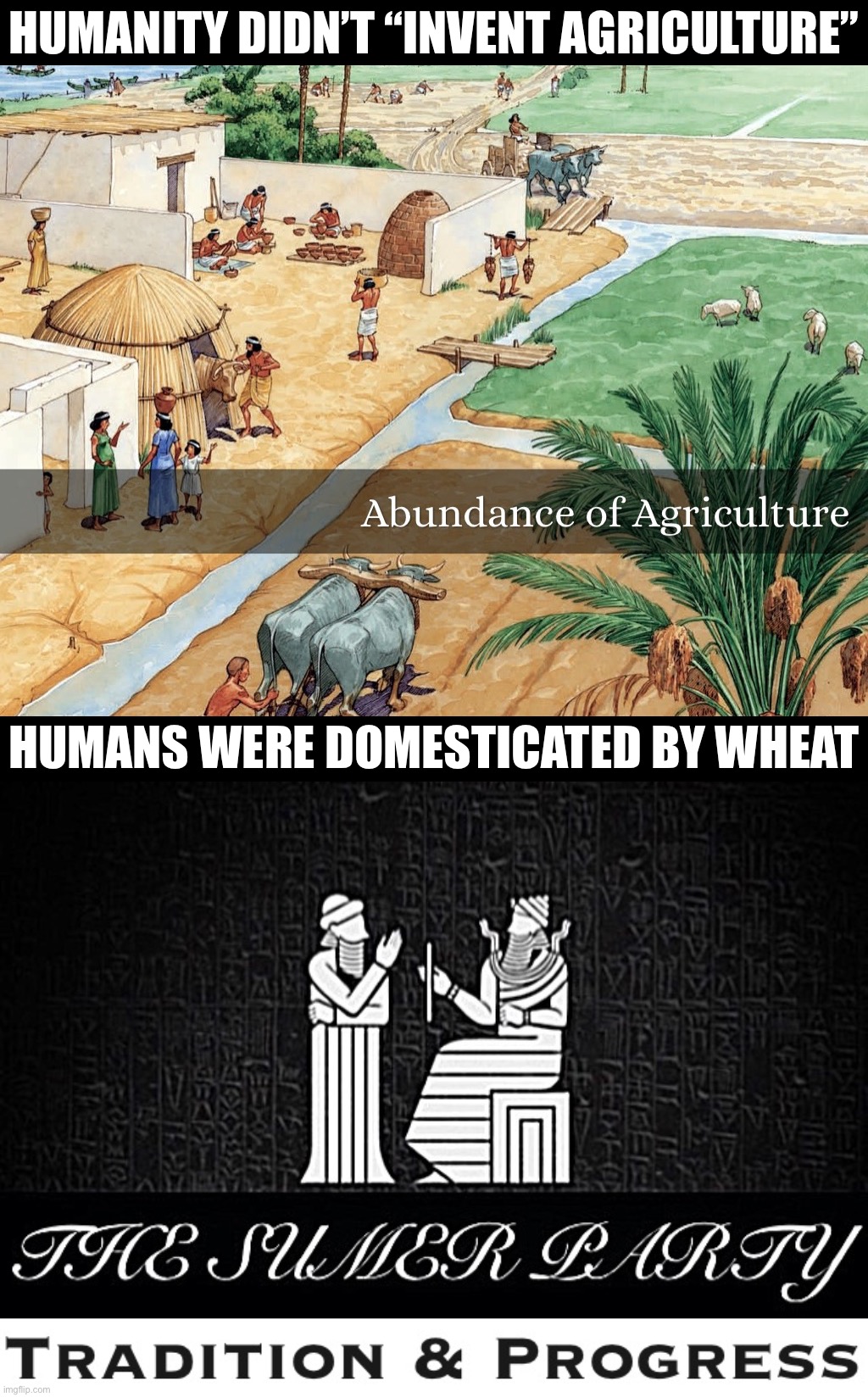 You break your back struggling to grow endless rows of glorified grass. Who do YOU think is profiting here? #farmcuck #redpilled | HUMANITY DIDN’T “INVENT AGRICULTURE”; HUMANS WERE DOMESTICATED BY WHEAT | image tagged in abundance of agriculture,the sumer party logo tradition progress,wheat,agriculture,redpilled | made w/ Imgflip meme maker