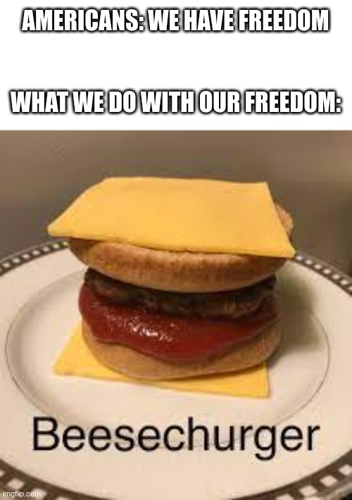 E | AMERICANS: WE HAVE FREEDOM                                                                  
WHAT WE DO WITH OUR FREEDOM: | image tagged in memes,repost | made w/ Imgflip meme maker