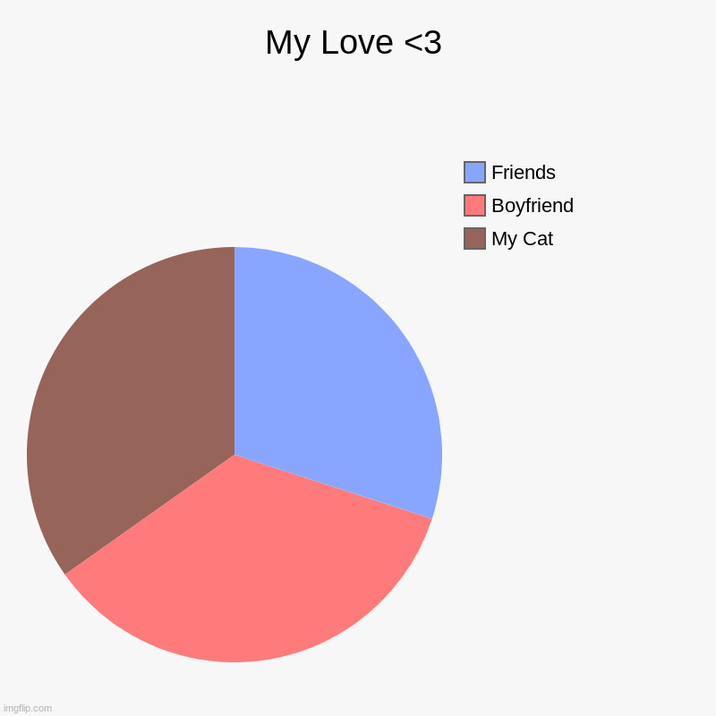 LOVE | My Love <3 | My Cat, Boyfriend, Friends | image tagged in charts,pie charts | made w/ Imgflip chart maker