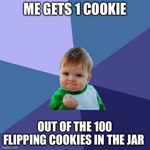 Cookies | ME GETS 1 COOKIE; OUT OF THE 100 FLIPPING COOKIES IN THE JAR | image tagged in memes,success kid | made w/ Imgflip meme maker