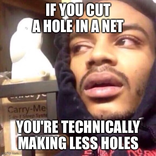 Funni shower thoughts #2 | IF YOU CUT A HOLE IN A NET; YOU'RE TECHNICALLY MAKING LESS HOLES | image tagged in coffee enema high thoughts,funni,shower thoughts | made w/ Imgflip meme maker