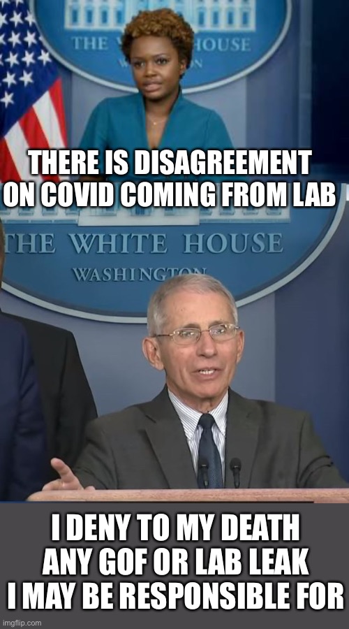 Of course disagreement might exist where responsibility is involvedz | THERE IS DISAGREEMENT ON COVID COMING FROM LAB; I DENY TO MY DEATH ANY GOF OR LAB LEAK I MAY BE RESPONSIBLE FOR | image tagged in deputy secretary karine jean-pierre,dr fauci,covid,lab leak,gof | made w/ Imgflip meme maker