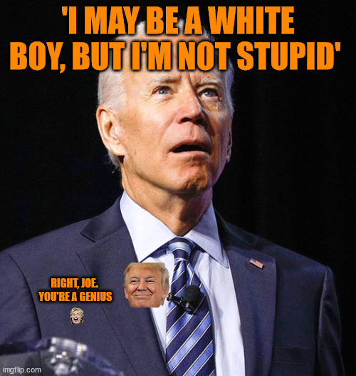 Things Biden Actually Said...And During Black History Month | 'I MAY BE A WHITE BOY, BUT I'M NOT STUPID'; RIGHT, JOE.
 YOU'RE A GENIUS | image tagged in joe biden,donald trump | made w/ Imgflip meme maker