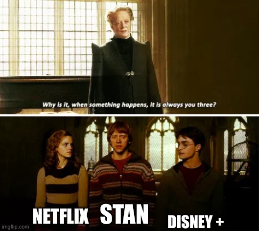 Streaming services | DISNEY +; NETFLIX; STAN | image tagged in always you three,netflix,stan,disney plus,disney channel | made w/ Imgflip meme maker