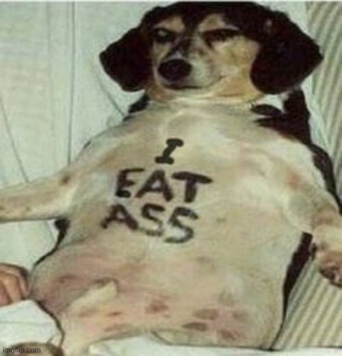 dog | made w/ Imgflip meme maker