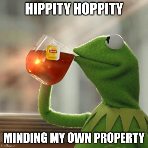 Perfect | HIPPITY HOPPITY; MINDING MY OWN PROPERTY | image tagged in memes,but that's none of my business,kermit the frog | made w/ Imgflip meme maker