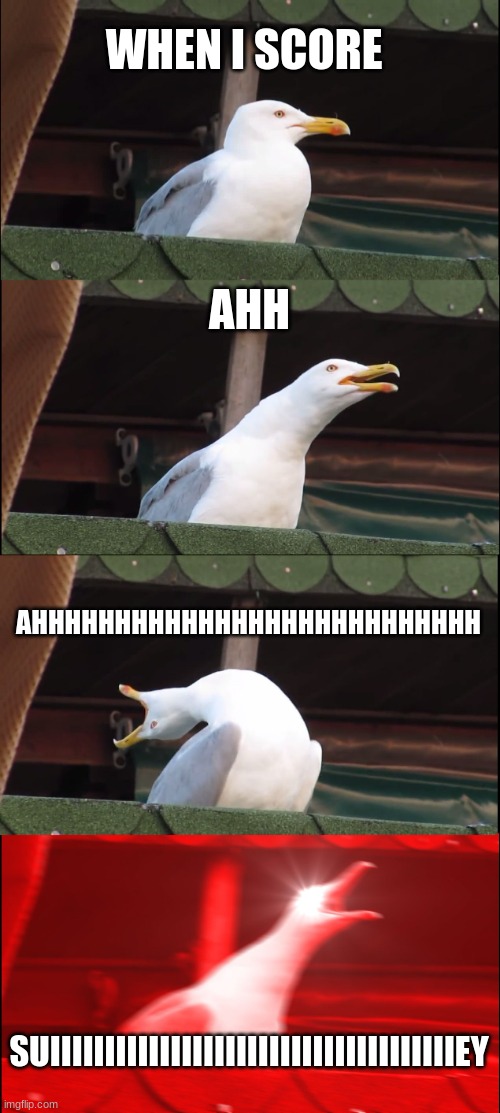 Inhaling Seagull | WHEN I SCORE; AHH; AHHHHHHHHHHHHHHHHHHHHHHHHHHH; SUIIIIIIIIIIIIIIIIIIIIIIIIIIIIIIIIIIIIIEY | image tagged in memes,inhaling seagull | made w/ Imgflip meme maker