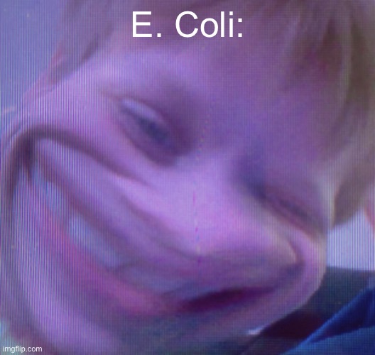 E. Coli: | made w/ Imgflip meme maker