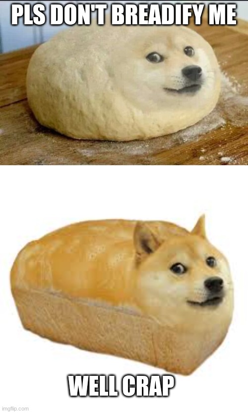 ow | PLS DON'T BREADIFY ME; WELL CRAP | image tagged in dough doge | made w/ Imgflip meme maker