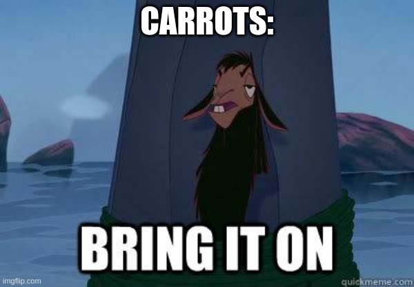 bring it on | CARROTS: | image tagged in bring it on | made w/ Imgflip meme maker