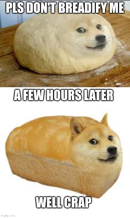Ow | PLS DON'T BREADIFY ME; A FEW HOURS LATER; WELL CRAP | image tagged in dough doge | made w/ Imgflip meme maker