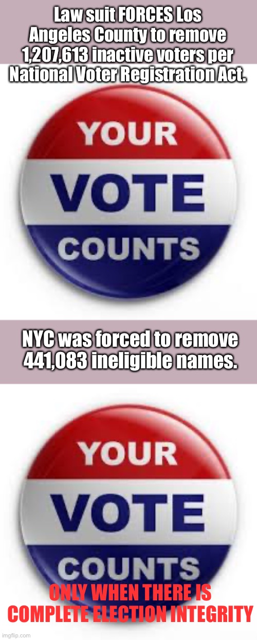 Vote integrity needs improvement. Voter suppression no longer exists. | Law suit FORCES Los Angeles County to remove 1,207,613 inactive voters per National Voter Registration Act. NYC was forced to remove 441,083 ineligible names. ONLY WHEN THERE IS COMPLETE ELECTION INTEGRITY | image tagged in vote,integrity | made w/ Imgflip meme maker