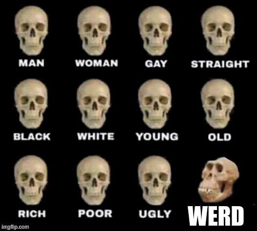 idiot skull | WERD | image tagged in idiot skull | made w/ Imgflip meme maker