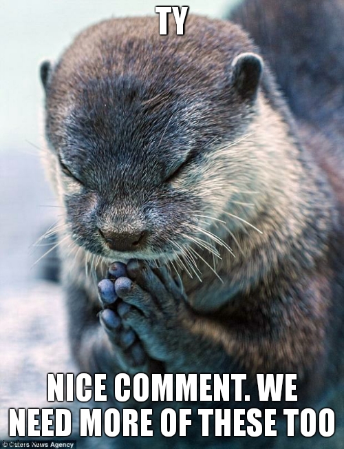 Thank you Lord Otter | TY NICE COMMENT. WE NEED MORE OF THESE TOO | image tagged in thank you lord otter | made w/ Imgflip meme maker